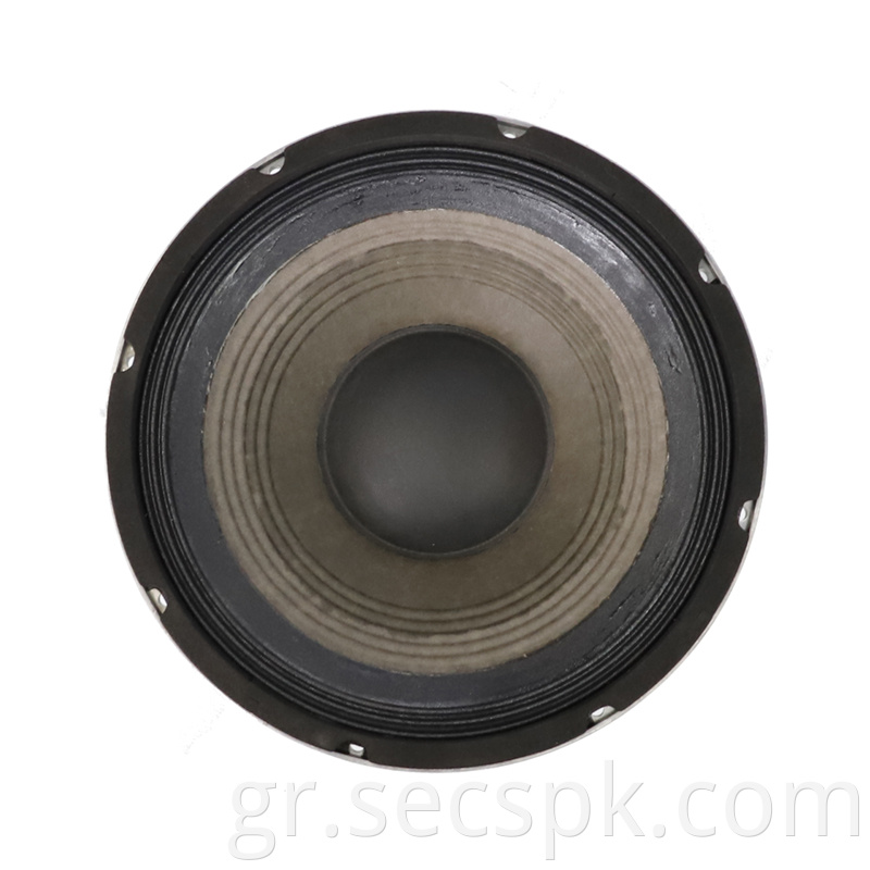 8ohm Party Speaker